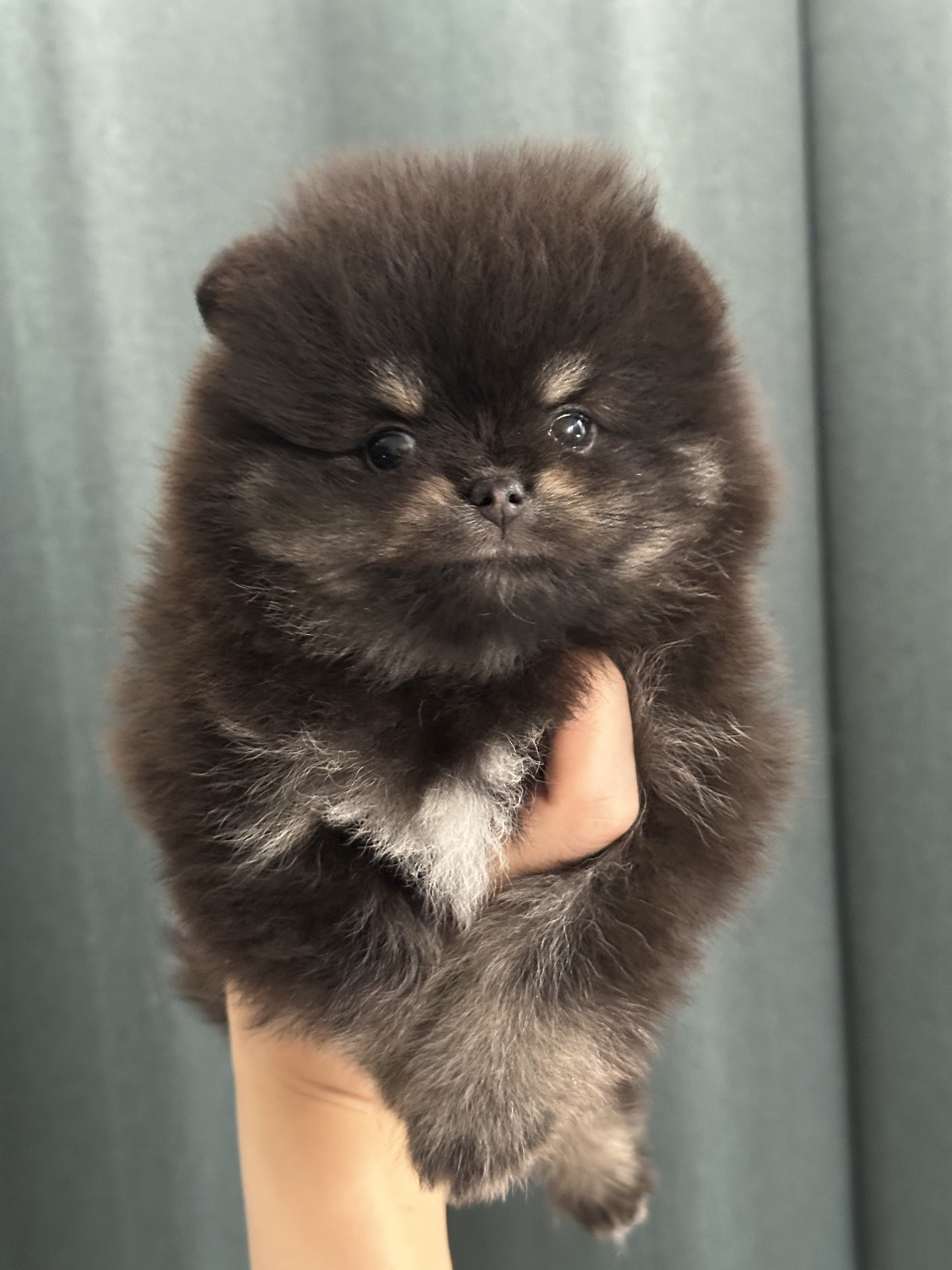 KakaoTalk_20250820_183508295_01.jpg